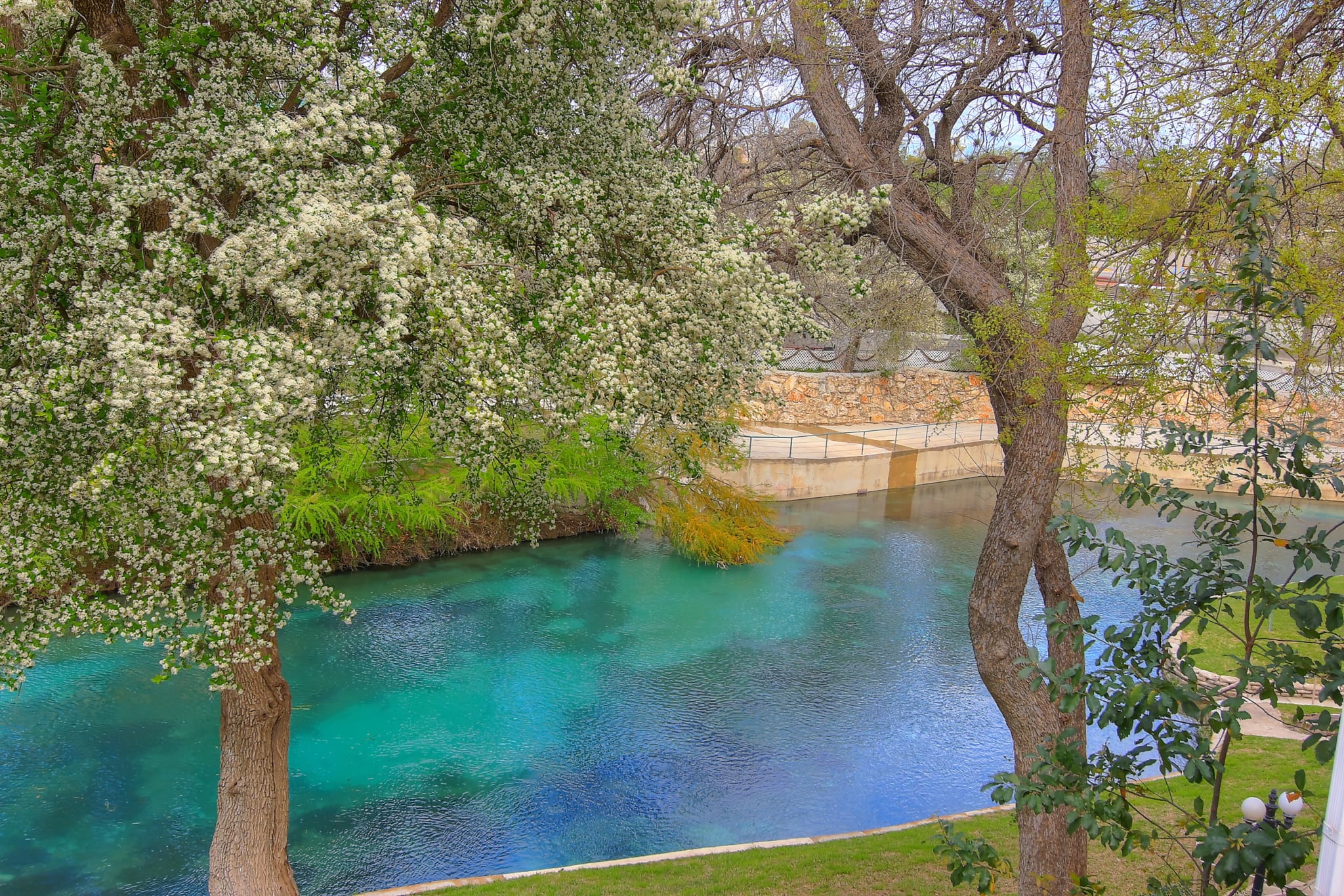 View of Comal River from vacation homes