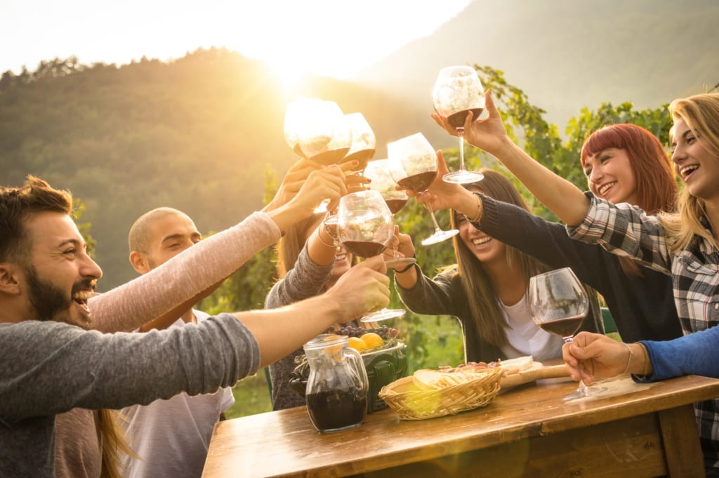 Six people sitting around a table raising wine glasses for a toast.