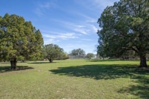 Open field with a few trees.