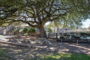 Picnic tables, charcoal grills.