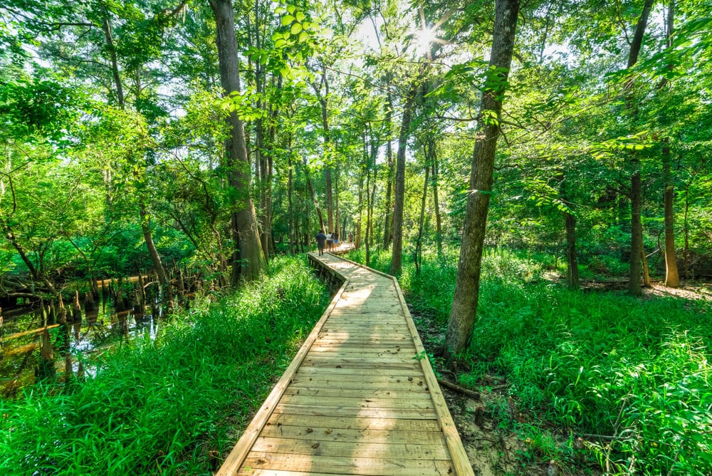 New Braunfels Hiking Trails The Top 10 Destinations