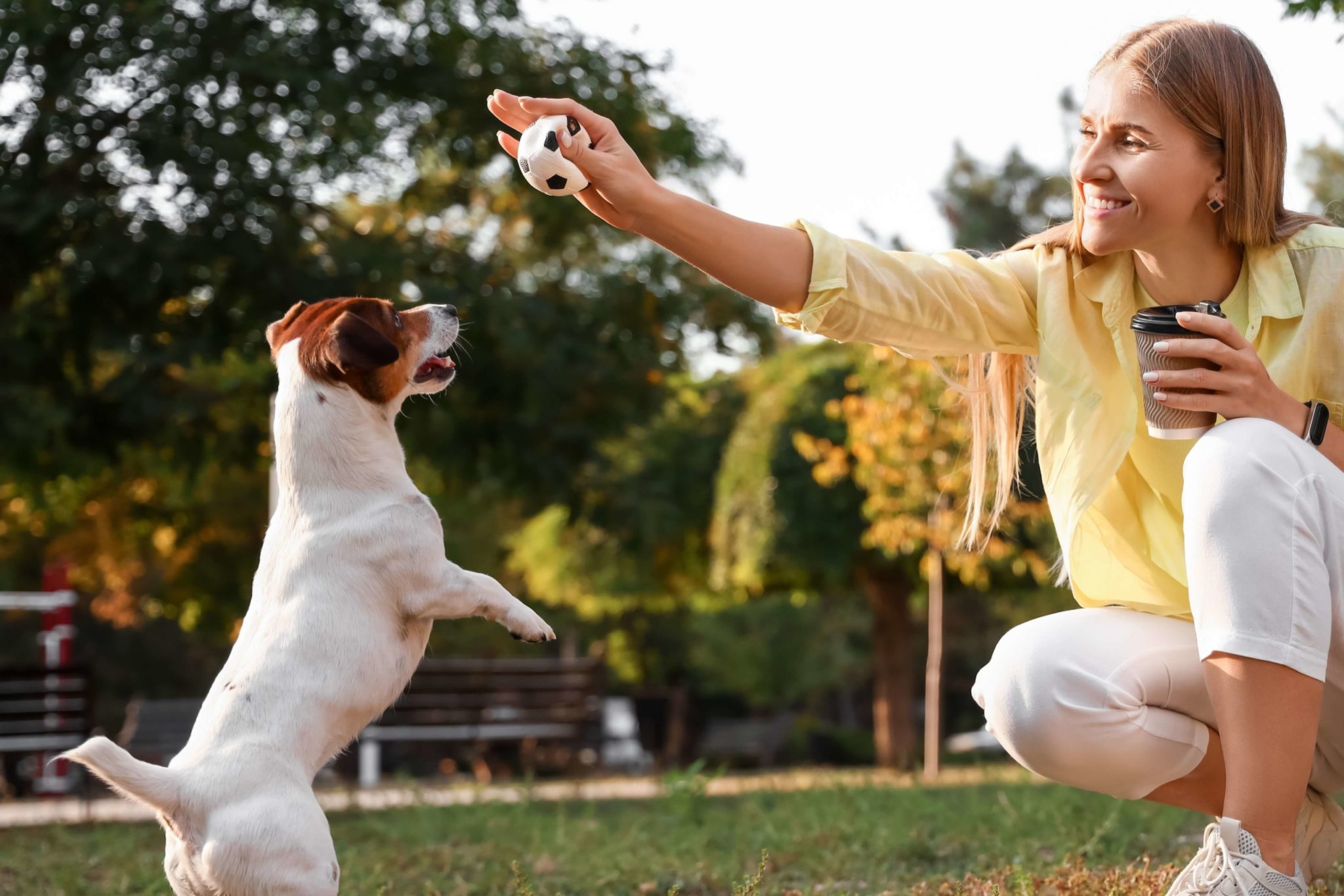 Find A Fantastic Dog Park Near New Braunfels New Braunfels Escapes